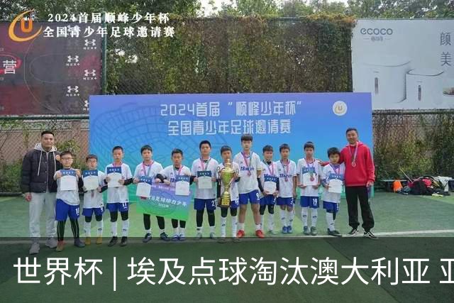世界杯 | 埃及点球淘汰澳大利亚 亚洲区球队全部出局