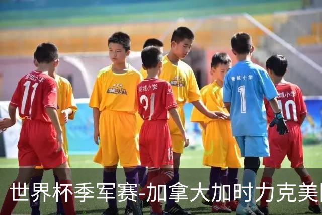 世界杯季军赛-加拿大加时力克美国夺得铜牌