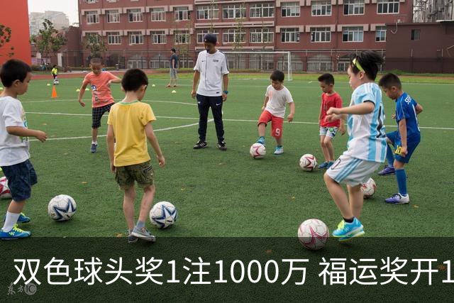 双色球头奖1注1000万 福运奖开1061万注